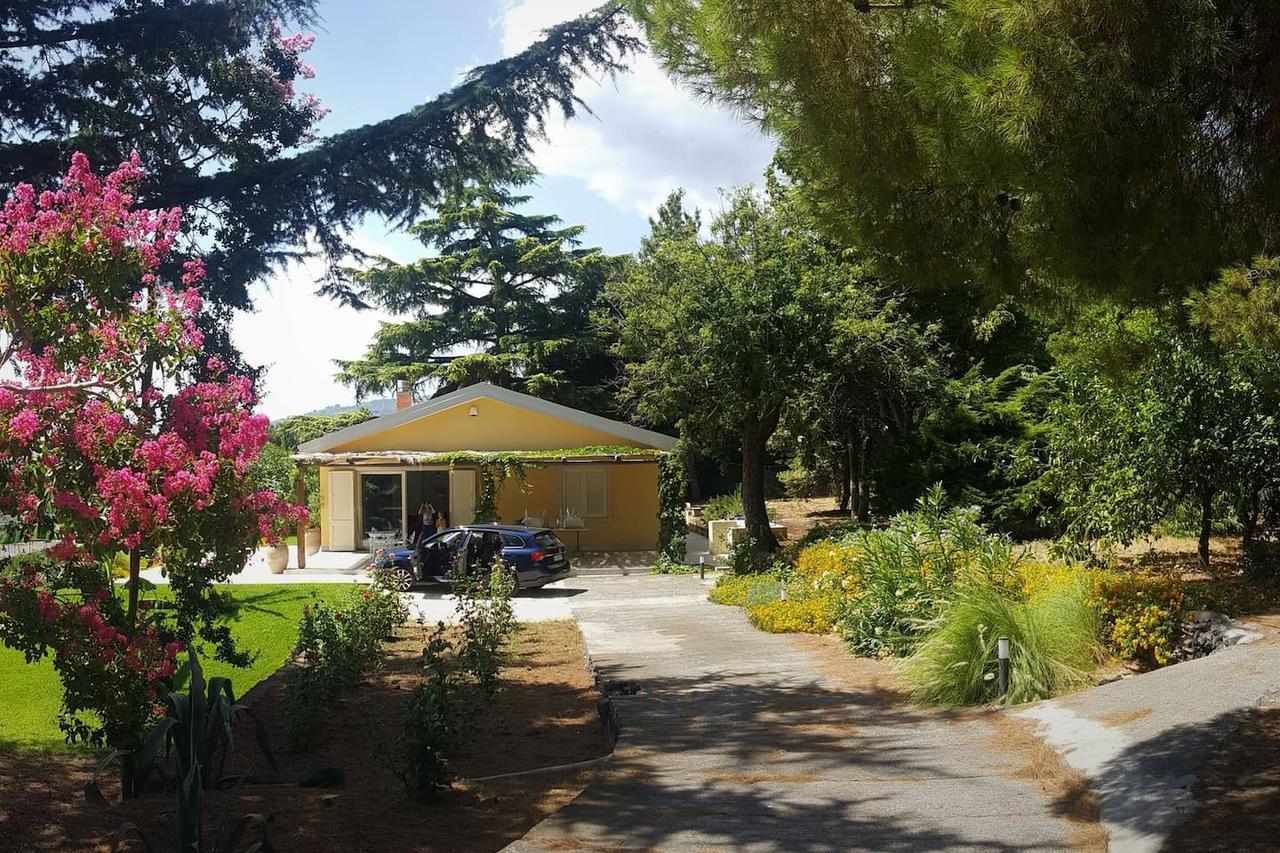 פיידימונטה אטנאו Villa Palm Hill מראה חיצוני תמונה